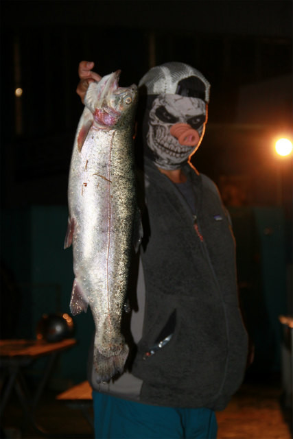 としまえんフィッシングエリア 釣果