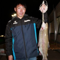 としまえんフィッシングエリア 釣果