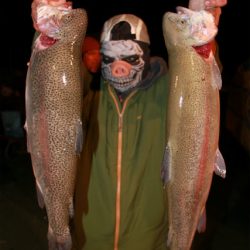 としまえんフィッシングエリア 釣果