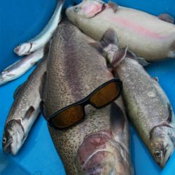 としまえんフィッシングエリア 釣果