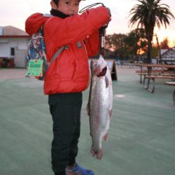 としまえんフィッシングエリア 釣果