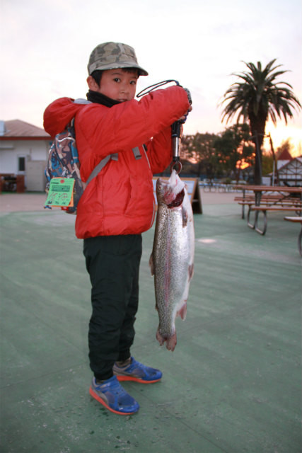 としまえんフィッシングエリア 釣果