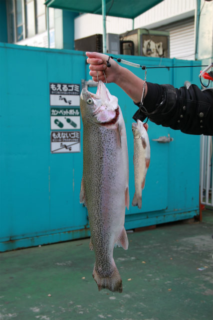 としまえんフィッシングエリア 釣果