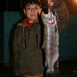 としまえんフィッシングエリア 釣果