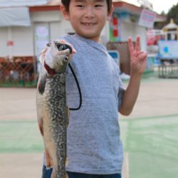 としまえんフィッシングエリア 釣果