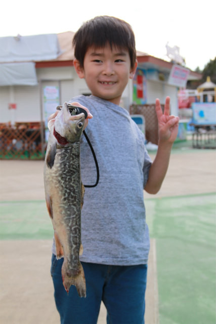 としまえんフィッシングエリア 釣果