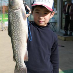 としまえんフィッシングエリア 釣果