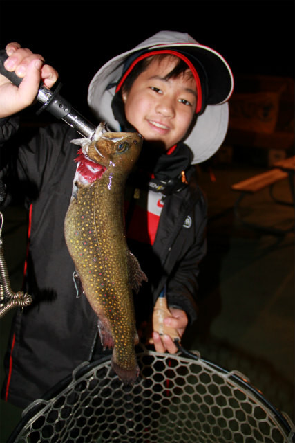 としまえんフィッシングエリア 釣果