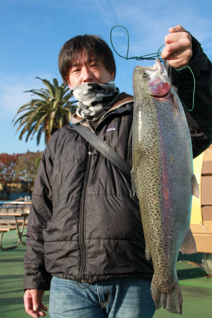 としまえんフィッシングエリア 釣果