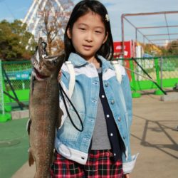 としまえんフィッシングエリア 釣果