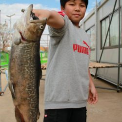 としまえんフィッシングエリア 釣果