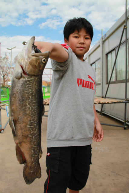 としまえんフィッシングエリア 釣果