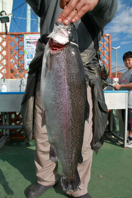 としまえんフィッシングエリア 釣果