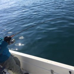 「LaGooN」蒼陽丸 日和号 釣果