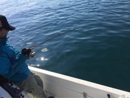 「LaGooN」蒼陽丸 日和号 釣果