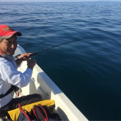 「LaGooN」蒼陽丸 日和号 釣果