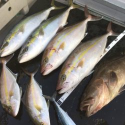 ＴＡＲＯＭＡＲＵ 釣果