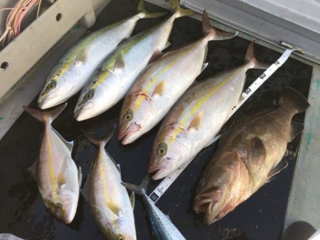 ＴＡＲＯＭＡＲＵ 釣果