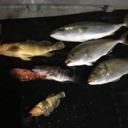 ＴＡＲＯＭＡＲＵ 釣果