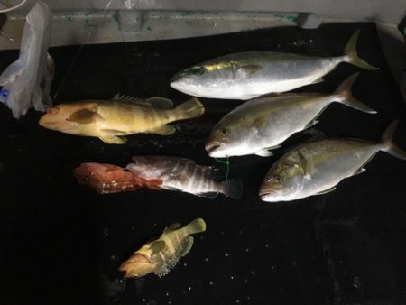 ＴＡＲＯＭＡＲＵ 釣果