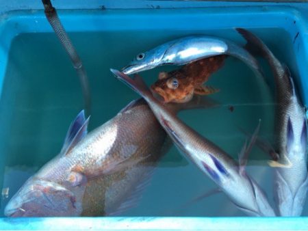 第二八坂丸 釣果