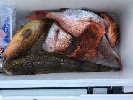 第二八坂丸 釣果