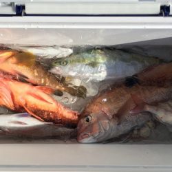 第二八坂丸 釣果