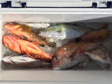 第二八坂丸 釣果