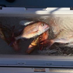 第二八坂丸 釣果