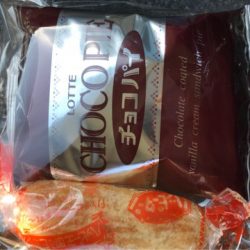 遊漁船メテオ 釣果