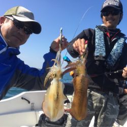 「LaGooN」蒼陽丸 日和号 釣果