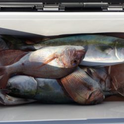 第二八坂丸 釣果