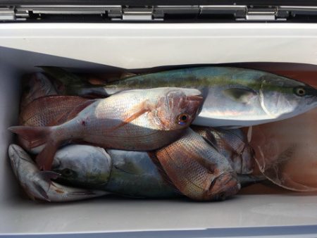 第二八坂丸 釣果