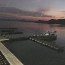 末広丸(熊本) 釣果