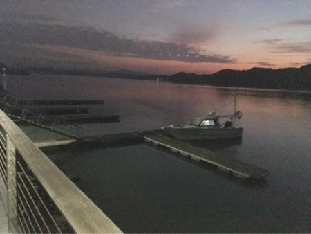 末広丸(熊本) 釣果