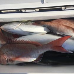 第二八坂丸 釣果