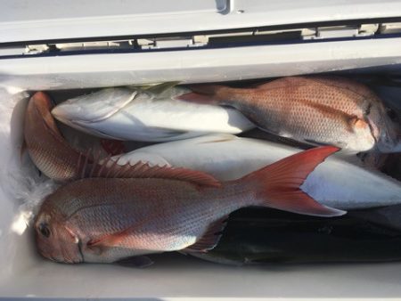 第二八坂丸 釣果