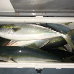 第二八坂丸 釣果