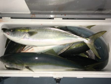 第二八坂丸 釣果