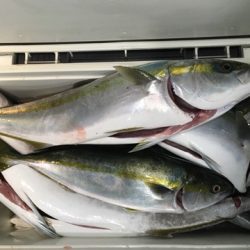 第二八坂丸 釣果