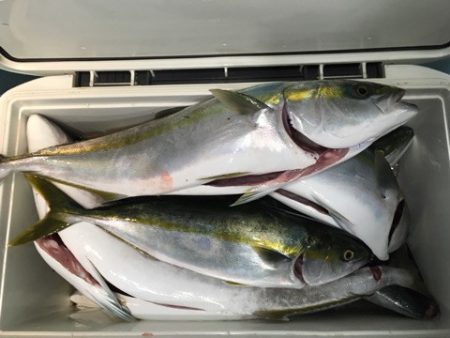 第二八坂丸 釣果