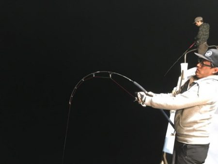 ＴＡＲＯＭＡＲＵ 釣果