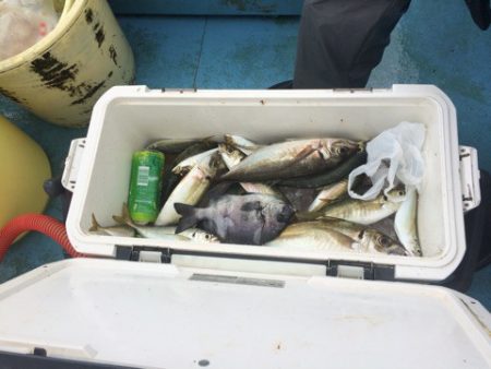 丸万釣船 釣果