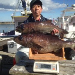 晃山丸 釣果