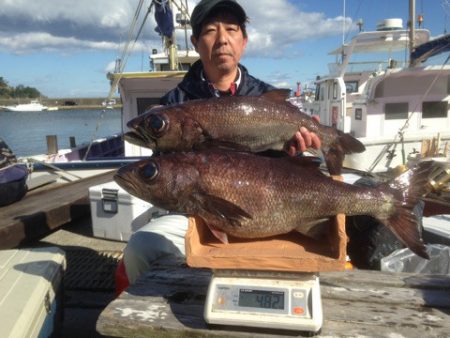 晃山丸 釣果