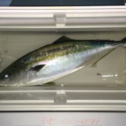 第二八坂丸 釣果