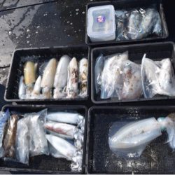 渡船屋たにぐち 釣果