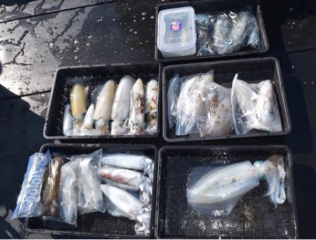 渡船屋たにぐち 釣果