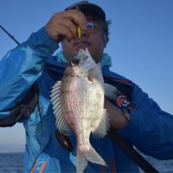 渡船屋たにぐち 釣果