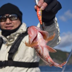 渡船屋たにぐち 釣果